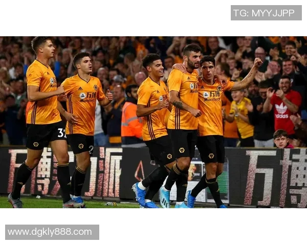 英超网球焦点成都网球队成员个人能力深度分析与探讨