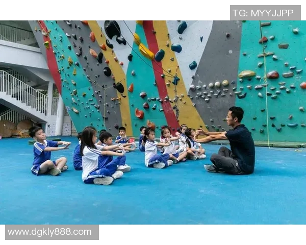 深圳攀岩队速度表现的运动数据分析与提升策略研究 深圳攀岩队速度表现的运动数据分析与提升策略研究