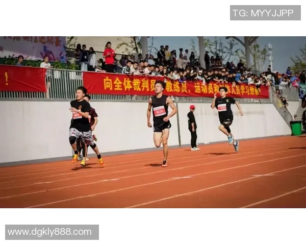 王磊畅谈滑板生涯与运动的激情与挑战 王磊畅谈滑板生涯与运动的激情与挑战